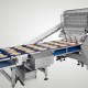 Alimec Pizza Topping Line