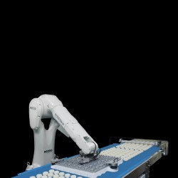 Rondo RONDObot endüstriyel hamur yuvarlama robotu